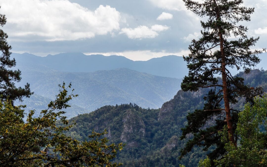 Lomis Mta hike