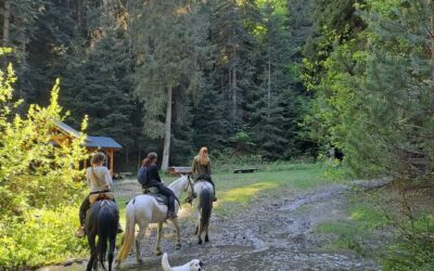 Paardrijden Borjomi National Park